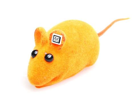 Image result for Lab Mouse Ring Tag