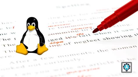 Image result for Yedit Linux