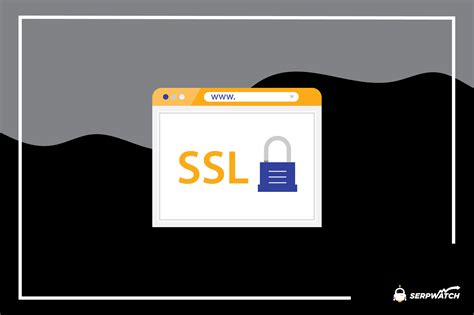 Rank Past SSL に対する画像結果