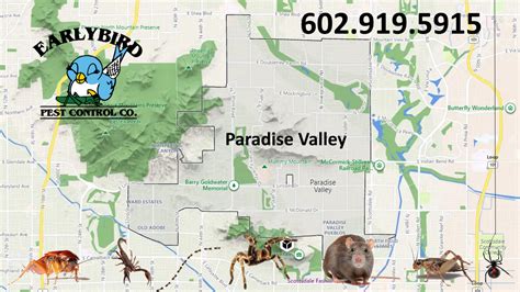 Image result for Paradise Pest Control
