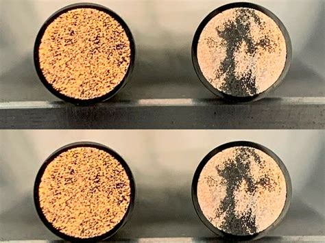 Fiber Randomization Test-Related に対する画像結果