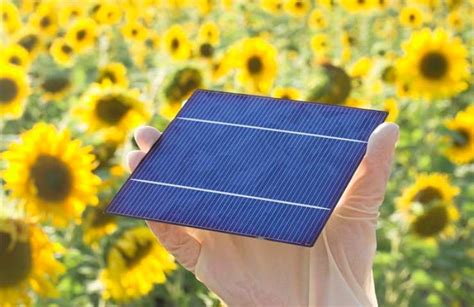 Image result for Solar Di Shell
