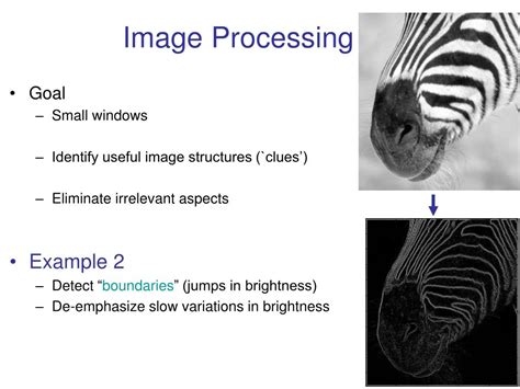 Image result for Image Processing Examples