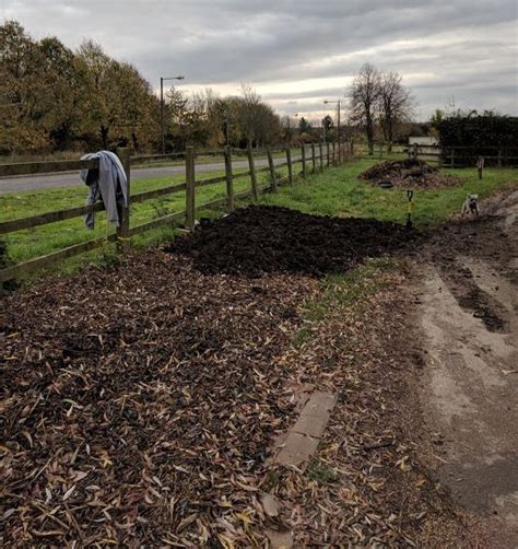 Image result for Creating Muck