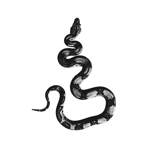 Toradh íomhá ar Red Python Snake Graphic