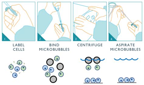 Image result for Flow Cytometry Sample Preparation