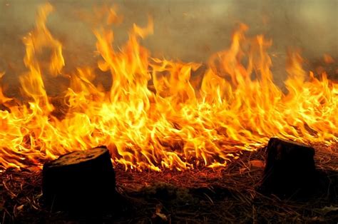 Image result for Fire Extinguisher Inspection Card