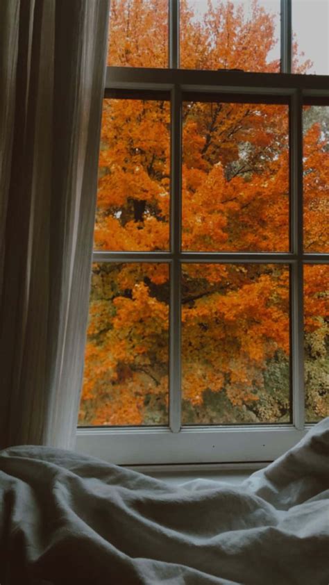 Image result for Autumn Window View