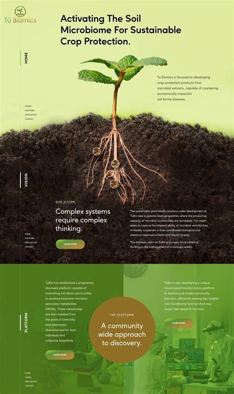 Image result for Website Styling Examples