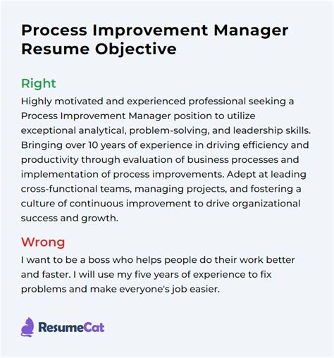 Entry Process Improvement Resume Examples に対する画像結果