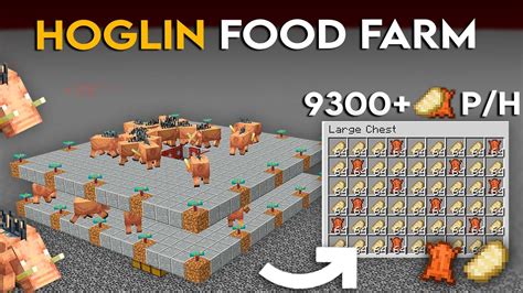 Image result for How to Tame Hoglin in Minecraft