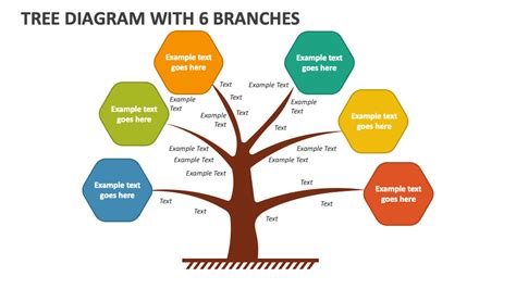 Image result for Tree Graph Slide