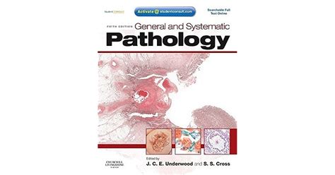Image result for Systemic Pathology