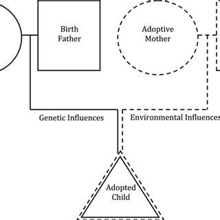 Early Growth and Development Study 的图像结果
