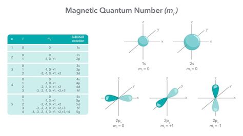 Vector Diagram Example Question Physics ಗಾಗಿ ಇಮೇಜ್ ಫಲಿತಾಂಶ