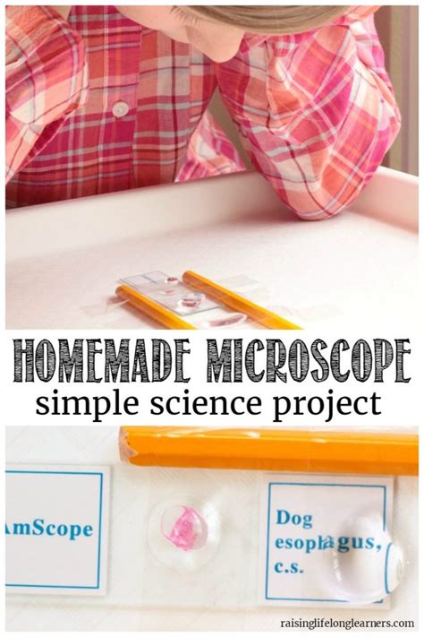 Image result for Microscope Homemade Plastic