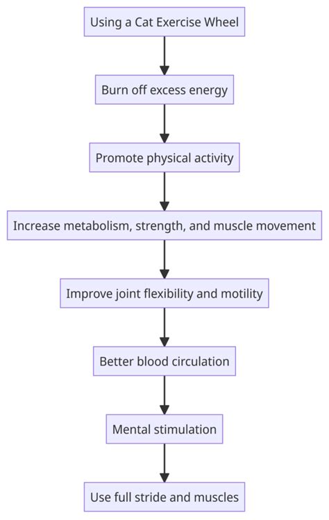 Toradh íomhá ar Flowchart Cat