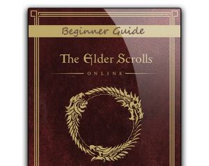 Image result for Eso Beginner Guide