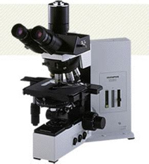 Image result for Shared Microscope