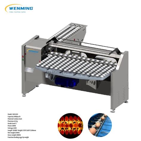 Image result for Egg Sorting Machine Design