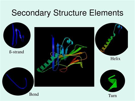 Toradh íomhá ar Parallel Beta Strands