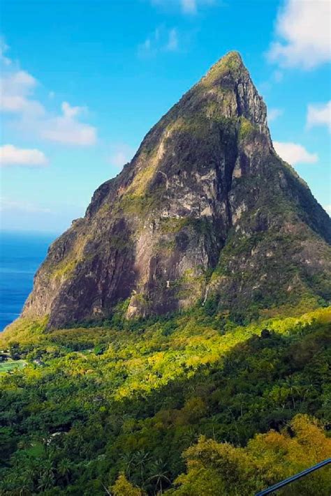 Piton Deutsch に対する画像結果