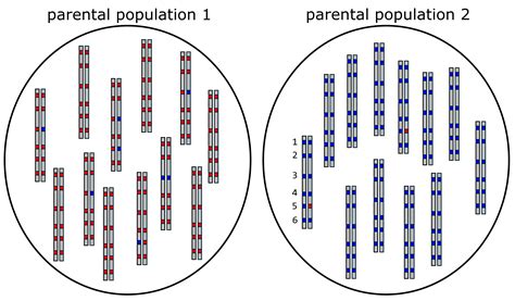 Image result for Triangular Plot
