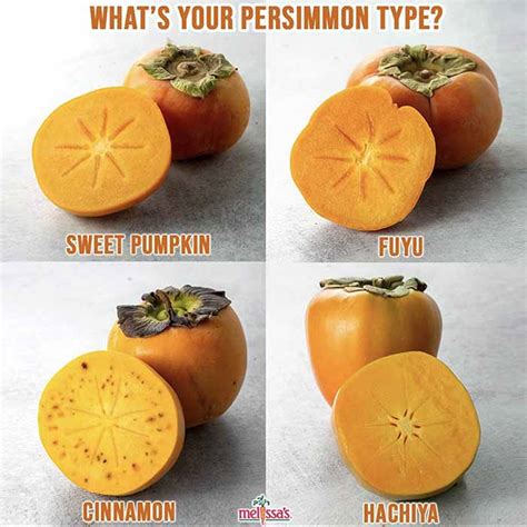 Image result for Persimmon Types