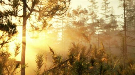 Toradh íomhá ar Stream Starting Screen