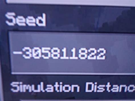 Toradh íomhá ar top speedrun seed for java