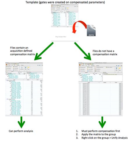 How to Delete a Groups in FlowJo に対する画像結果