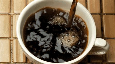 Coffee Java GIFs on Giphy