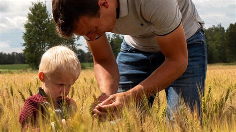 Image result for Made in Alberta Logo