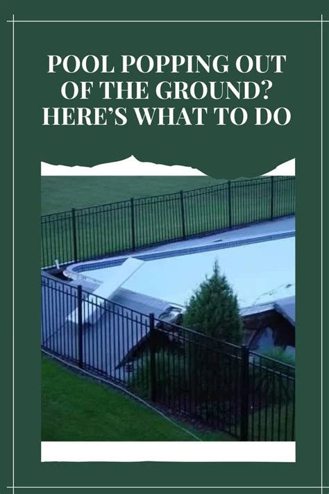 Pool Toy Popped に対する画像結果