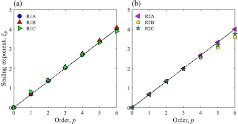 Afbeeldingsresultaten voor Exponent Structure