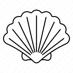 Image result for Queen Conch Shell Vector