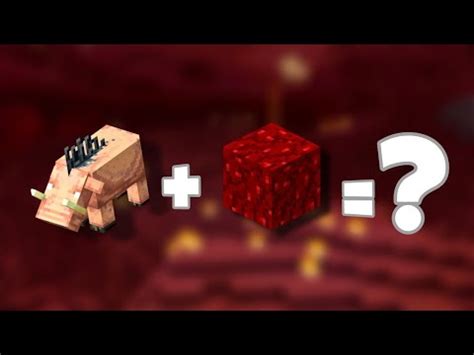 Image result for How to Tame Hoglin in Minecraft