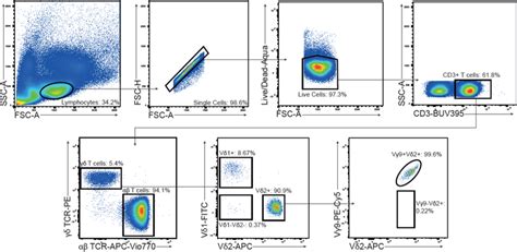 Image result for Marimo Cell Gating Flow Cytometry