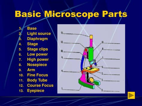 Image result for Basic Microscope Parts