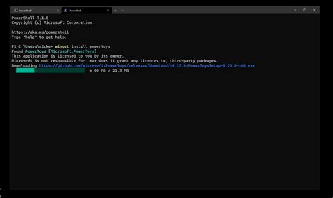 Toradh íomhá ar Windows Package Manager