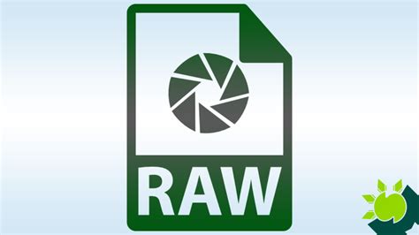 Image result for Raw File Extension