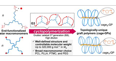 Image result for Cache Valley Polygomist Compound