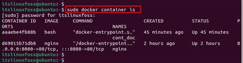 Image result for Docker Service LS