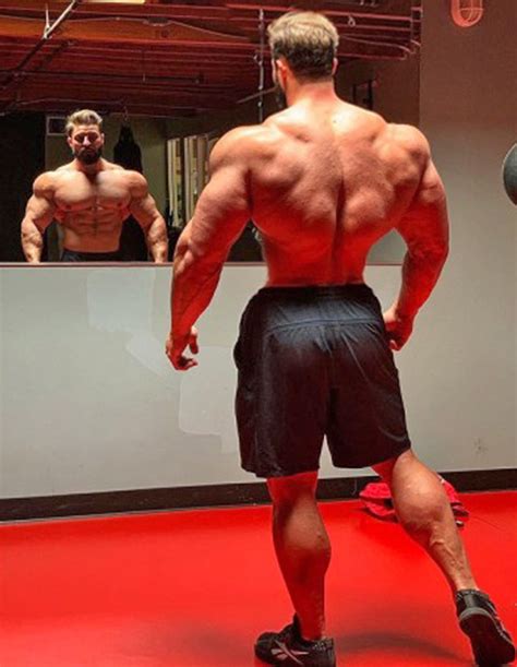 Image result for Broad Back Build