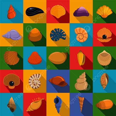 Image result for Shell Icon Transparent PNG