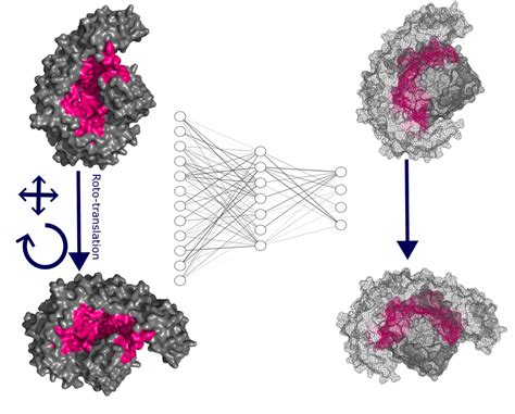 Image result for Geometric Deep Learning
