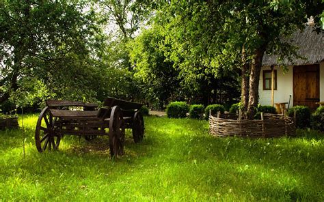 Image result for Tree Computer Wallpaper