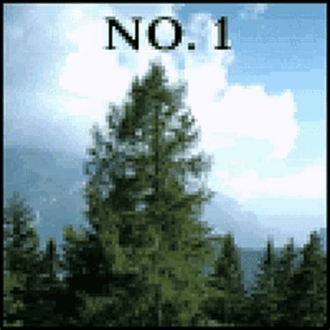 Image result for The Larch Monty Python