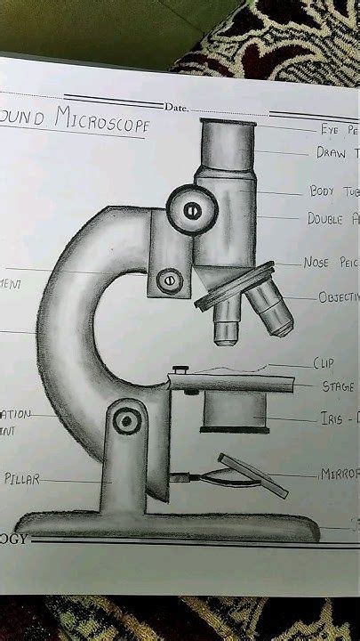 Toradh íomhá ar Microscope Drawing Pinterest