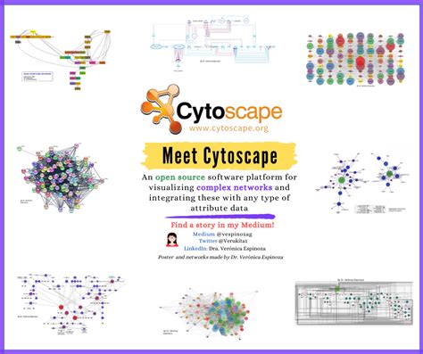 Network Synchronization Visualizations に対する画像結果